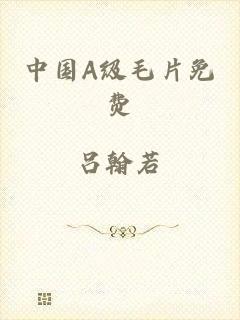 中国A级毛片免费