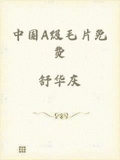 中国A级毛片免费