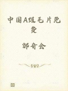 中国A级毛片免费