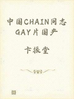 中国CHAIN同志GAY片国产