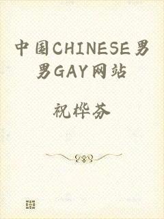 中国CHINESE男男GAY网站