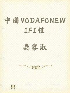 中国VODAFONEWIFI性