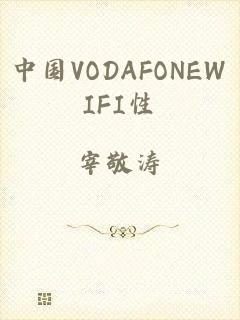 中国VODAFONEWIFI性