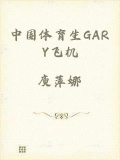 中国体育生GARY飞机