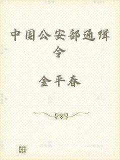 中国公安部通缉令