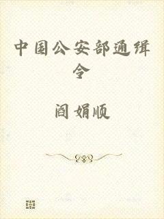 中国公安部通缉令