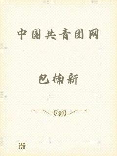 中国共青团网