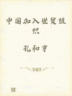 中国加入世贸组织