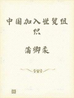 中国加入世贸组织