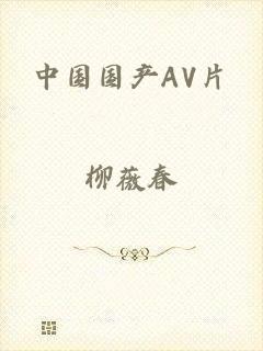 中国国产AV片