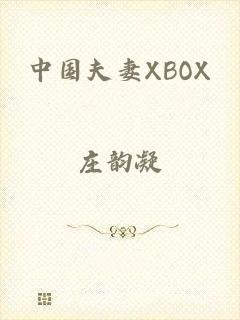 中国夫妻XBOX