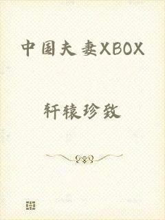 中国夫妻XBOX