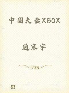 中国夫妻XBOX