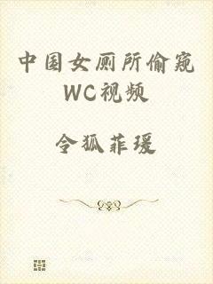 中国女厕所偷窥WC视频