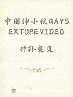 中国帅小伙GAYSEXTUBEVIDEO