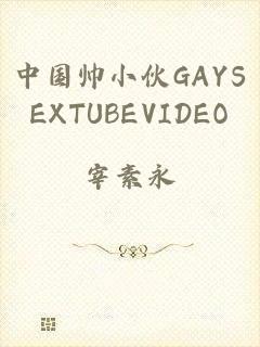 中国帅小伙GAYSEXTUBEVIDEO