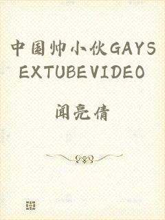 中国帅小伙GAYSEXTUBEVIDEO