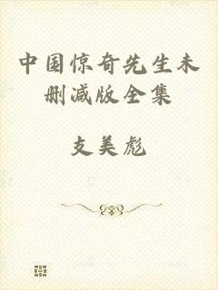 中国惊奇先生未删减版全集