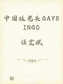 中国版老头GAYBINGO