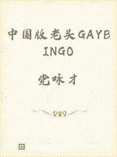 中国版老头GAYBINGO