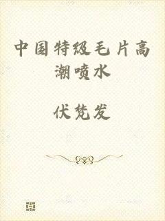 中国特级毛片高潮喷水
