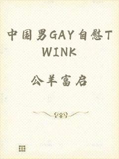 中国男GAY自慰TWINK