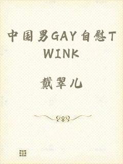 中国男GAY自慰TWINK