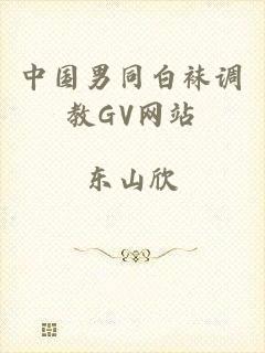 中国男同白袜调教GV网站