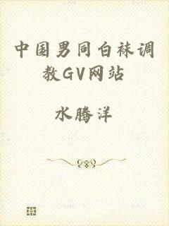 中国男同白袜调教GV网站
