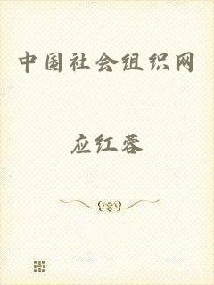中国社会组织网
