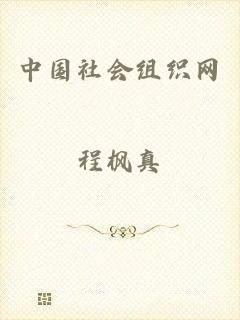中国社会组织网