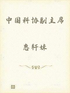 中国科协副主席