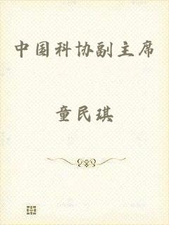 中国科协副主席