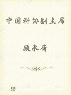 中国科协副主席