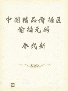 中国精品偷拍区偷拍无码