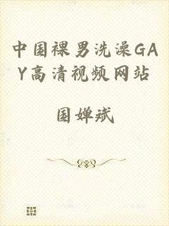 中国裸男洗澡GAY高清视频网站