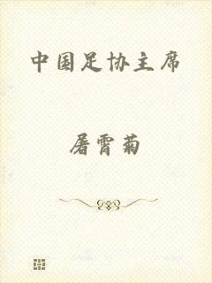 中国足协主席