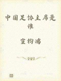 中国足协主席是谁