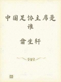 中国足协主席是谁