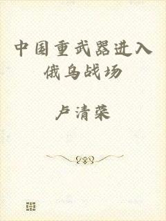 中国重武器进入俄乌战场