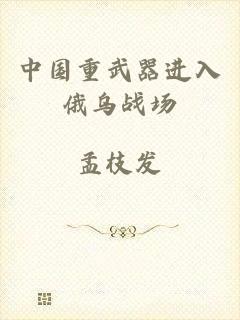 中国重武器进入俄乌战场