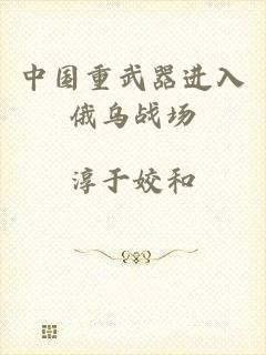 中国重武器进入俄乌战场