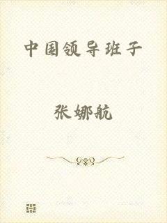 中国领导班子