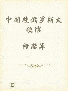 中国驻俄罗斯大使馆