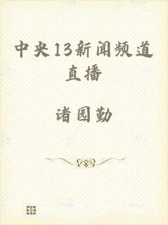 中央13新闻频道直播