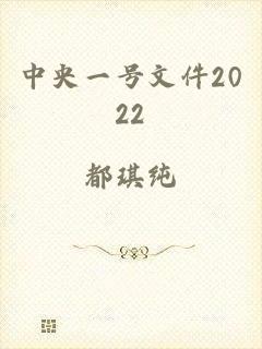 中央一号文件2022