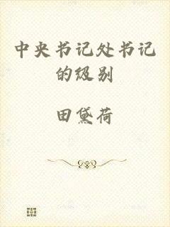 中央书记处书记的级别
