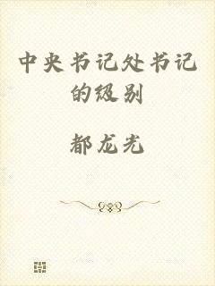 中央书记处书记的级别