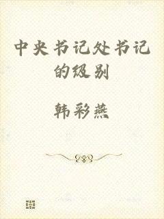 中央书记处书记的级别