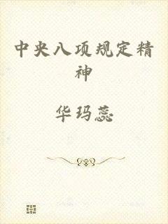 中央八项规定精神